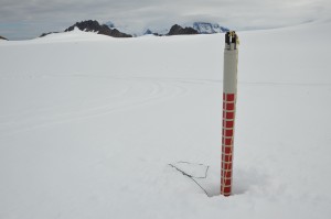 An ADIOS beacon in the snow after a successful deployment. Photo: David Jones, British Antarctic Survey.